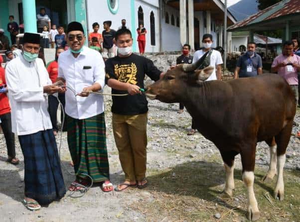 Idul Adha, Gus Jazil Berkurban di Pulau Flores