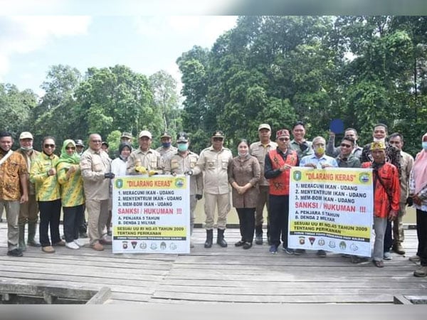 Lestarikan Sungai, Pemkab Ketapang dan PSP PEDAS Tebar 5000 Bibit Ikan Patin di Tumbang Titi