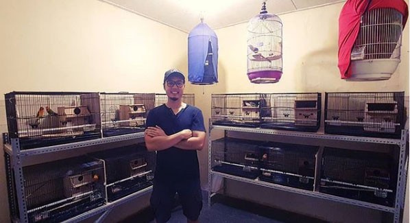 Rizky Kinos Pelihara Love Bird, dari Hobi Hingga Jadi Bisnis