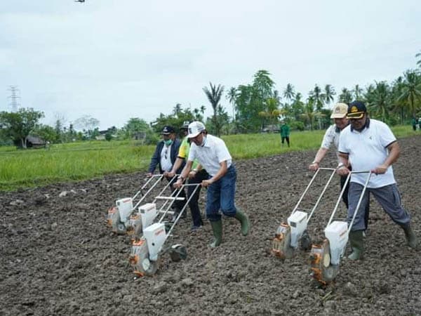 Sekda Ketapang Hadiri Tanam Jagung Perdana Poktan Pematang Sirih
