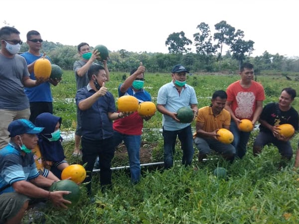 Sektor Pertanian Jadi Salah Satu Prioritas Aron-Subandrio Jika Dipercaya Pimpin Sekadau