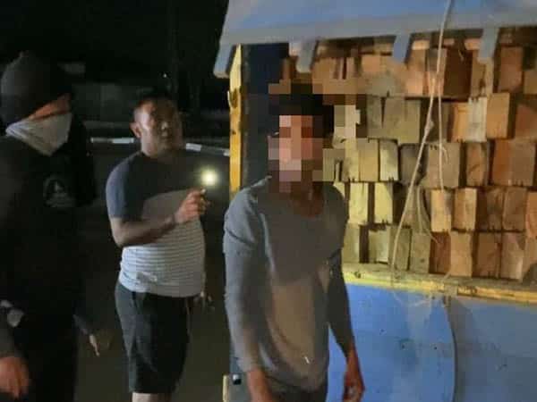 Polda Kalbar Amankan Truk Bermuatan Ratusan Kayu Illegal