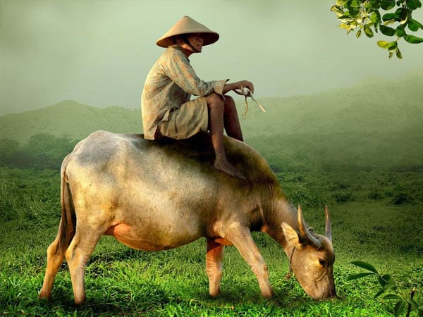 Sinergi APIP dan APH Bangun Pertanian Maju, Mandiri, dan Modern di Kalbar