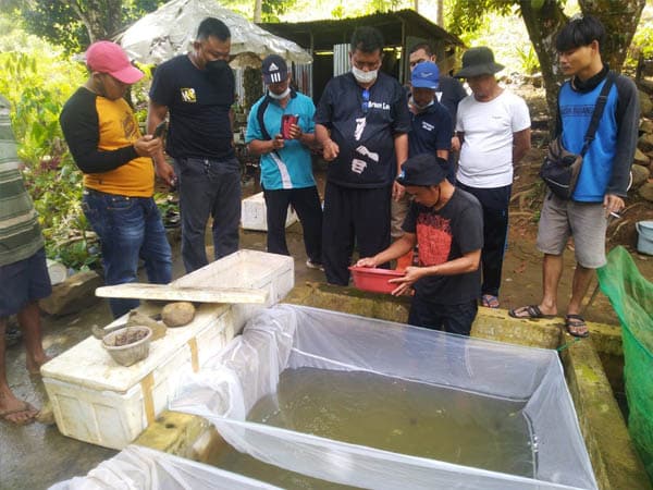 Alih Teknologi, Distankan Melawi Dorong Peningkatan Produksi Budidaya Ikan