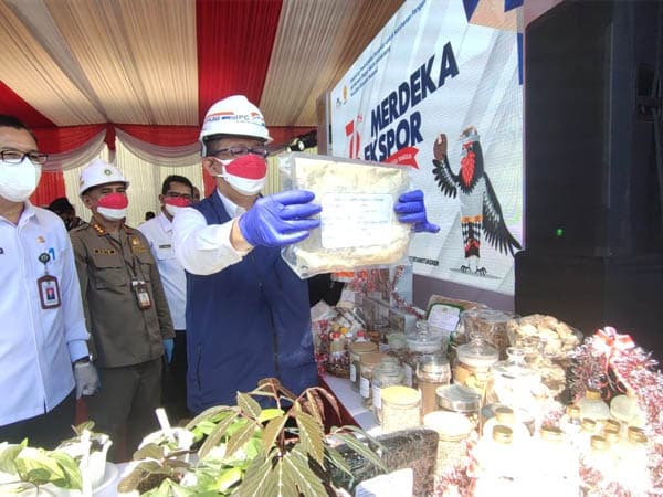 Keren! Kalbar Ekspor 26 Ton Pasta Durian ke China