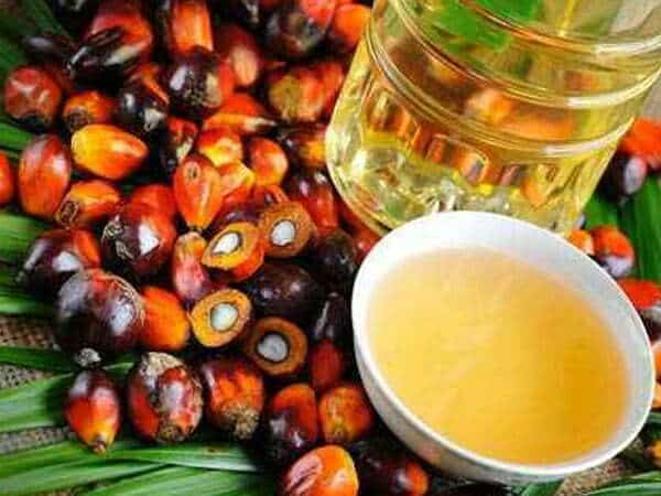 Indonesia Jadi Penentu Harga CPO Global pada 2045