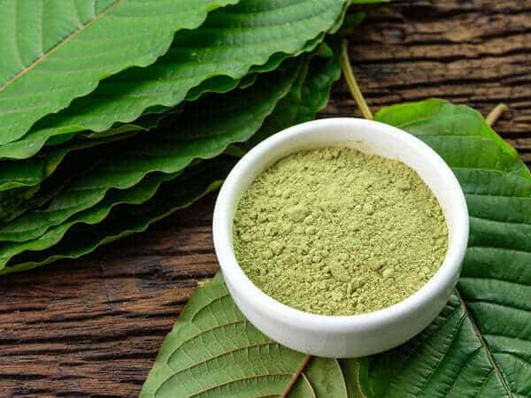 Daripada Melarang, Sutarmidji Sarankan Pemerintah Atur Tata Niaga Kratom