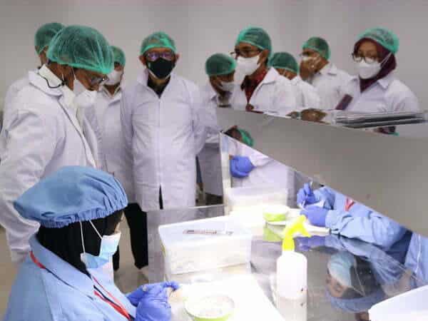 Mentan Dorong Kalbar Jadikan Sarang Walet Komoditas Ekspor Unggulan