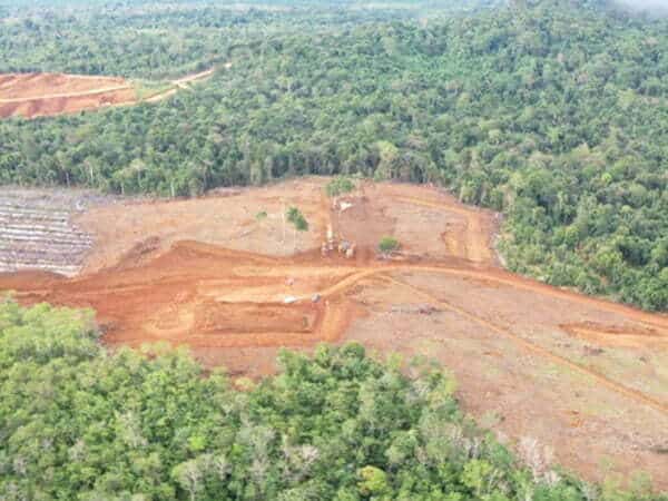 Serobot Lahan Warga, PT Laman Mining Dihukum Adat