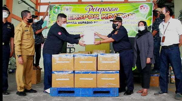 Perdana, Ekspor Kratom Langsung dari Pontianak ke Belanda