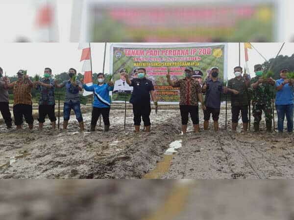 Wabup Subandrio Dorong Produktivitas Petani Sukseskan IP3K