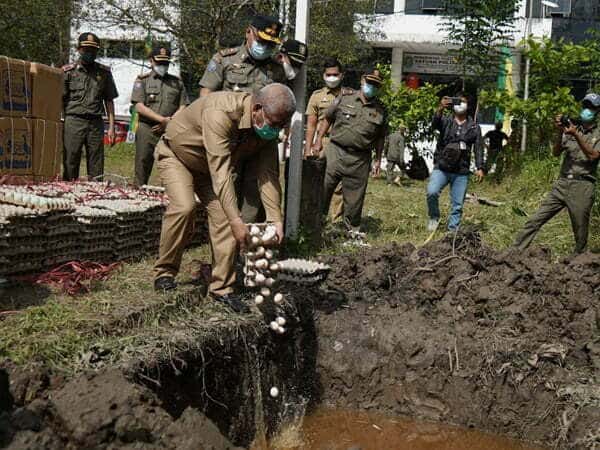 Pemprov Kalbar Musnahkan Puluhan Ribu Butir Telur Ilegal