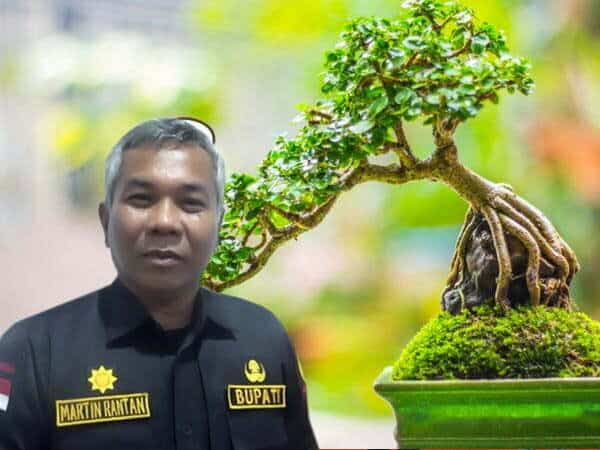 Martin Rantan Sebut Bonsai Bisa Jadi Usaha Menjanjikan