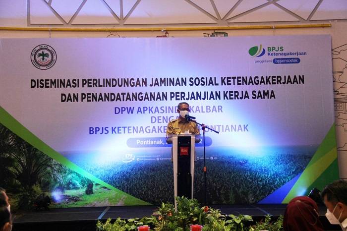Asuransi Petani Sawit Harus Semakin Hari Semakin Baik, Sutarmidji: Bisa Paksa Perusahaan dengan Aturan