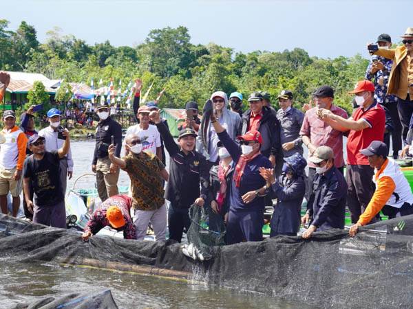 Wahyudi Hidayat dan Lasarus Panen Raya Ikan Konsumsi di Danau Keliling