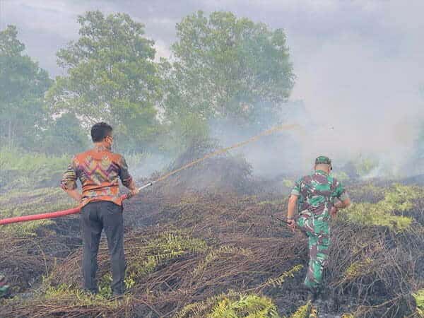 Minta Warga Lapor Jika Temukan Pembakar Lahan, Wako Edi Kamtono: Kalau Dapat Difoto