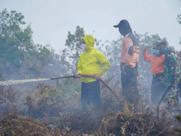 Suhu Panas Memuncak, Pontianak Waspada Karhutla