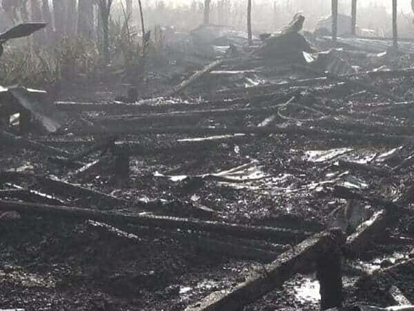 Pria 64 Tahun di Kalbar Ditemukan Tewas di Lokasi Karhutla, Kapolres: Korban Rutin Bercocok Tanam