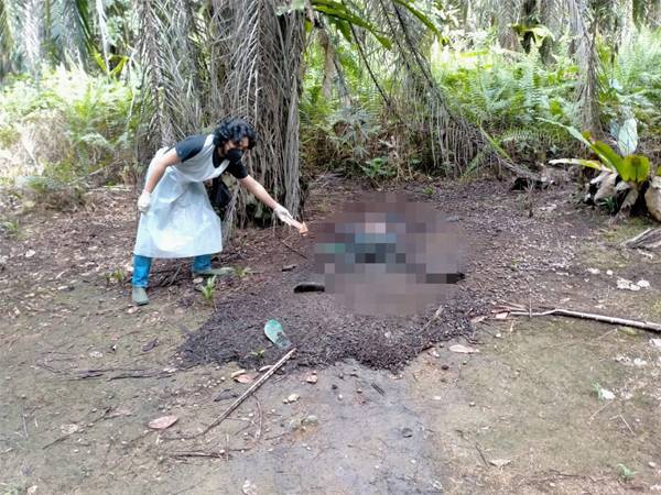Pria Paruh Baya Ditemukan Meninggal Dunia di Kebun Sawit di Manis Mata