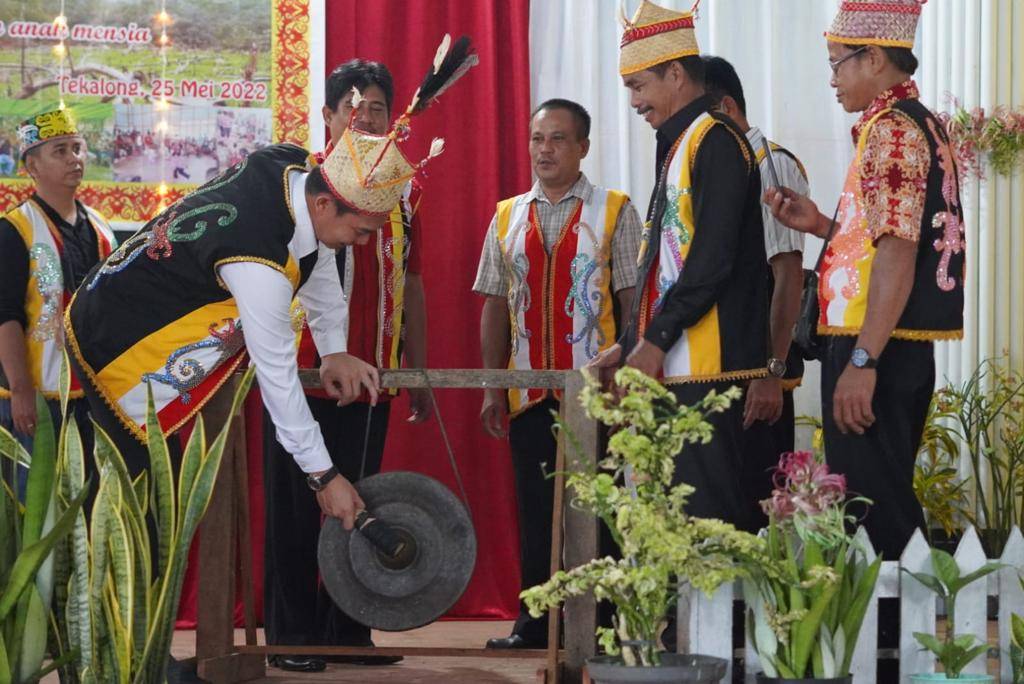 Buka Gawak Bebugo VII Suku Dayak Suruk, Fransiskus Diaan Ajak Masyarakat Terus Pertahanan Eksistensi Adat Budaya dan Tradisi Suku Dayak