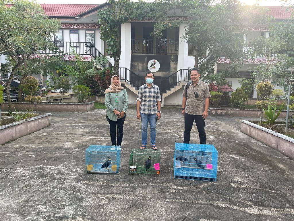 Perdagangkan Satwa Dilindungi, Muhtar Dibui 10 Bulan