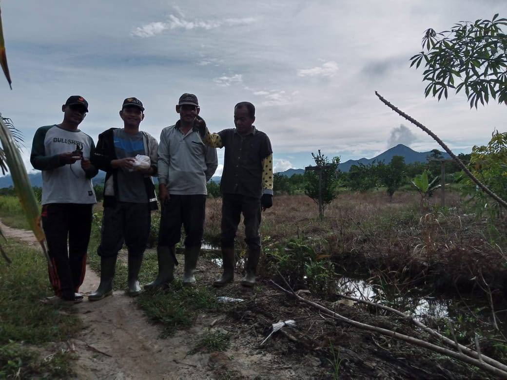 Jemaah Yasin Fadhilah Sulap Lahan Tidur Jadi Kebun Jeruk