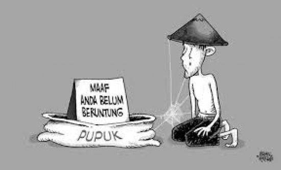 Siap-siap Menjerit, Pemerintah Pangkas Jatah Pupuk Subsidi Sejumlah Komoditi