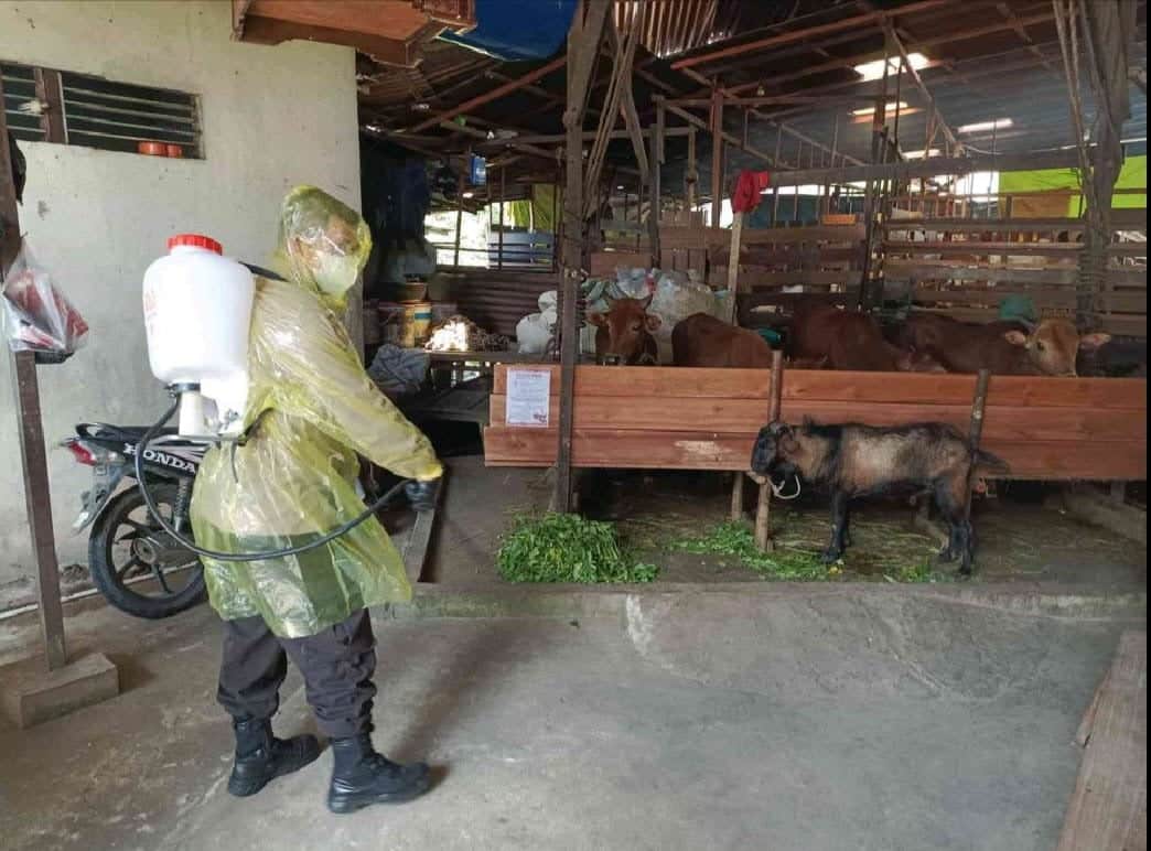 Cegah Sebaran PMK, Satgas Polresta Pontianak Lakukan Penyemprotan Disinfektan