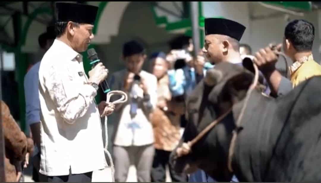 Wabup Farhan Bagikan 15 Ekor Sapi Hewan Kurban ke Sejumlah Masjid di Ketapang