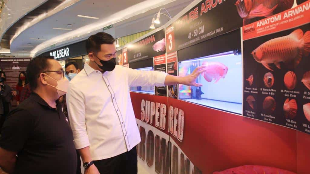 Bupati Kapuas Hulu Hadiri Pembukaan Arowana Cup di Lippo Mall Kemang Jakarta Selatan