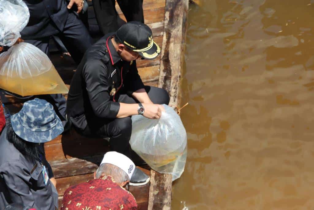 Bupati Kapuas Hulu Restocking Ikan Arwana di Danau Lindung