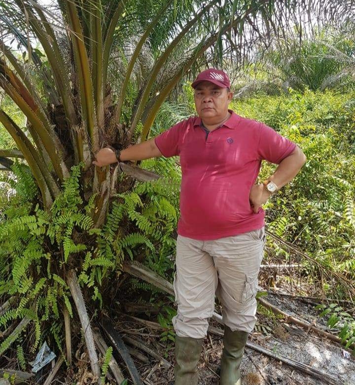 Apkasindo Perjuangan Ketapang Minta Pemerintah Carikan Solusi Anjloknya Harga TBS Sawit, Lusminto Dewa: Jangan Tunggu Masyarakat Marah
