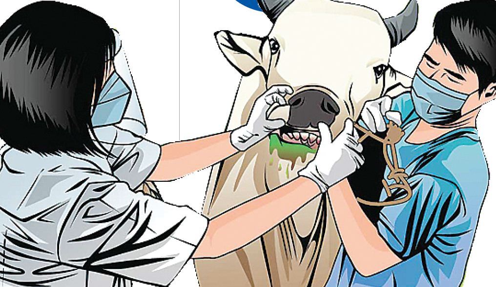 Kementan RI Komitmen Wujudkan Kalbar Bebas PMK, Caranya?