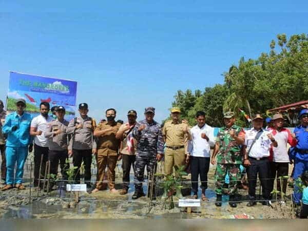 Peringati Hari Mangrove Sedunia, Lanal Ketapang Tanam Mangrove di Pulau Cempedak