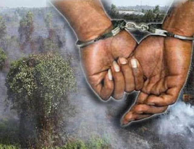 Pilih Kasih! Kepala BNPB Terkesan Keras ke Peladang, Lembek ke Korporasi