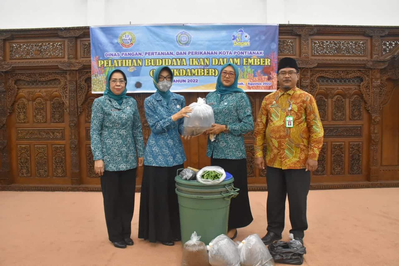 Budikdamber Solusi Budidaya Ikan di Tengah Keterbatasan Lahan, Pelajari Modelnya..