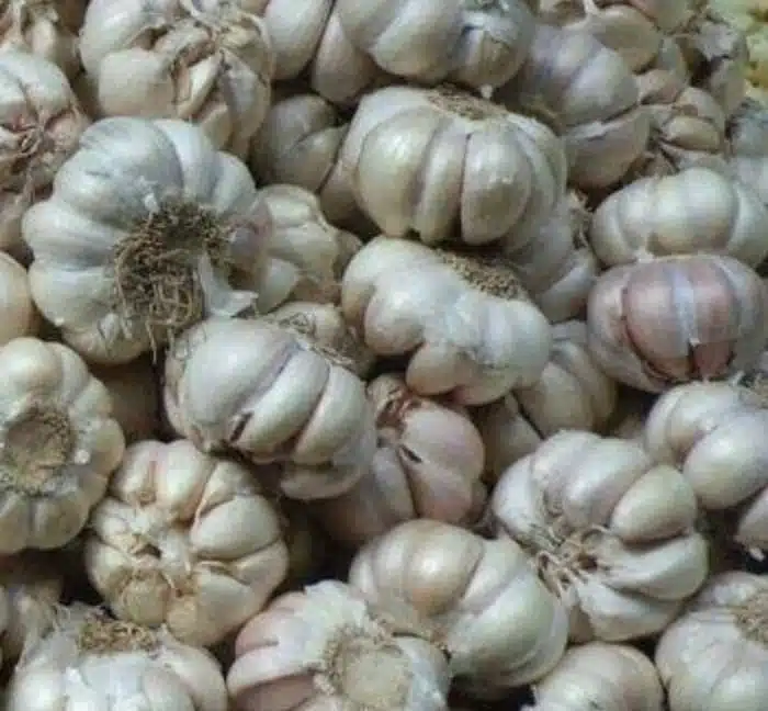 Polda Kalbar Amankan 7,2 Ton Bawang Putih Asal Jiran