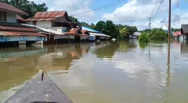 Diguyur Hujan Deras, Sejumlah Kecamatan di Ketapang Terendam Banjir Hingga Atap Rumah Warga