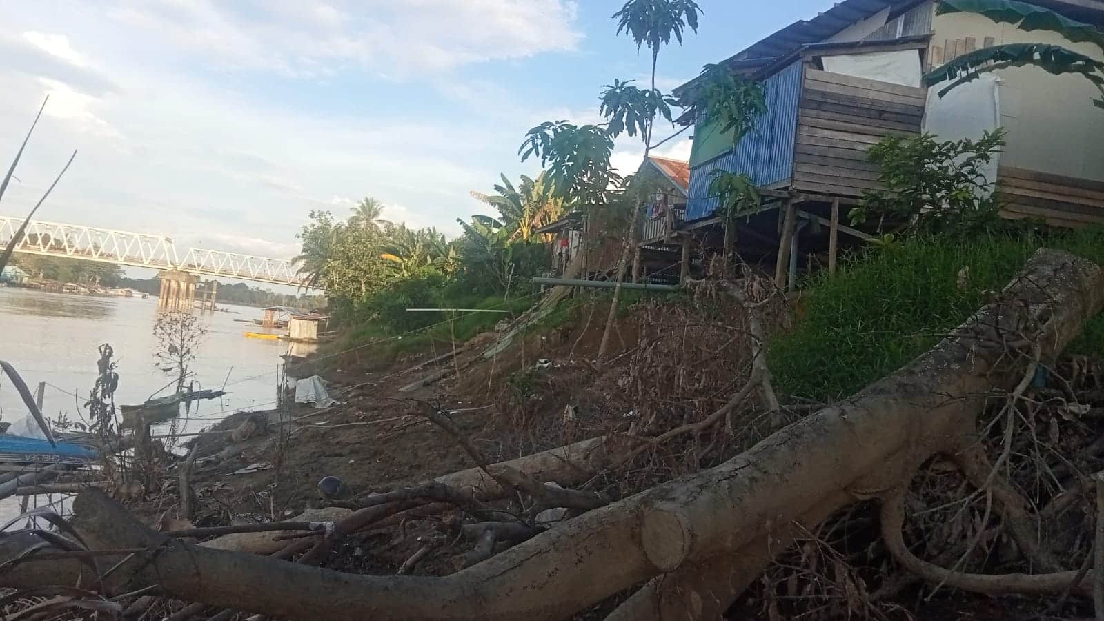 Abrasi Pantai Terus Terjadi, Ancam 200 KK di Kedamin Hilir
