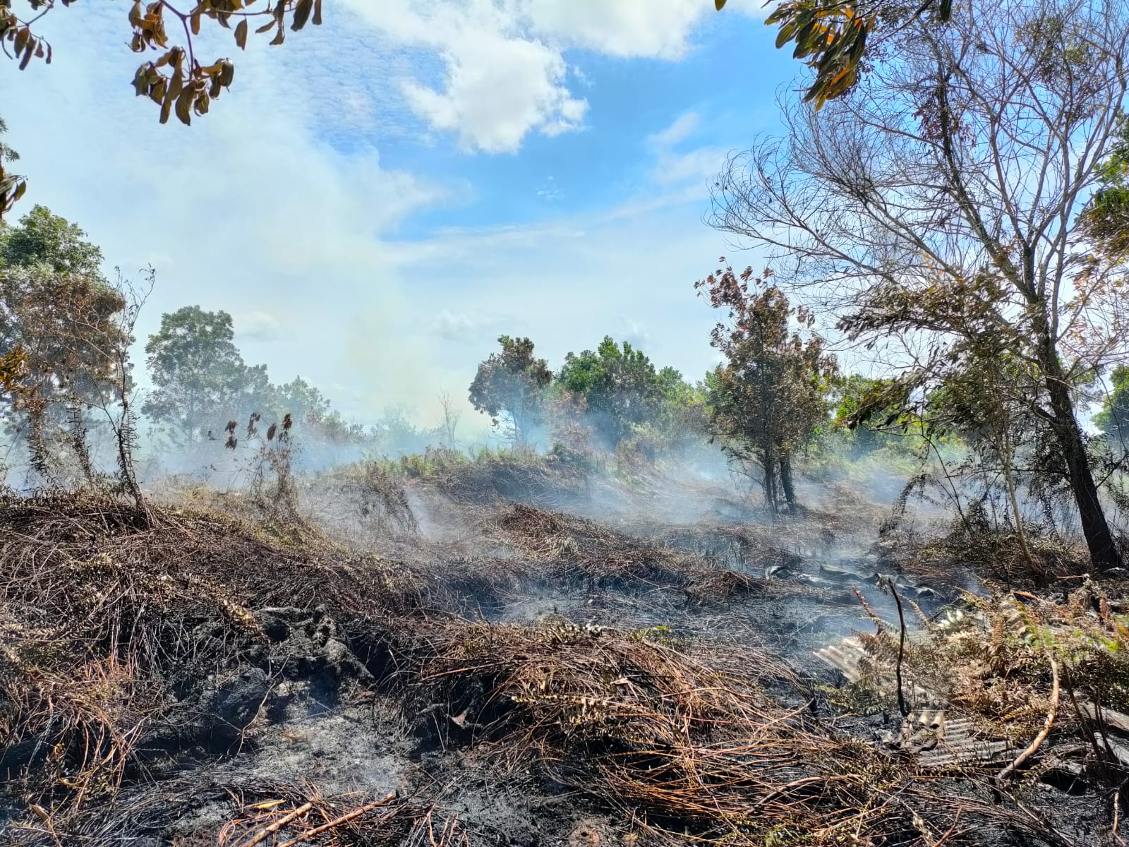 Dua Hektare Lahan di Dusun Bunga Terbakar