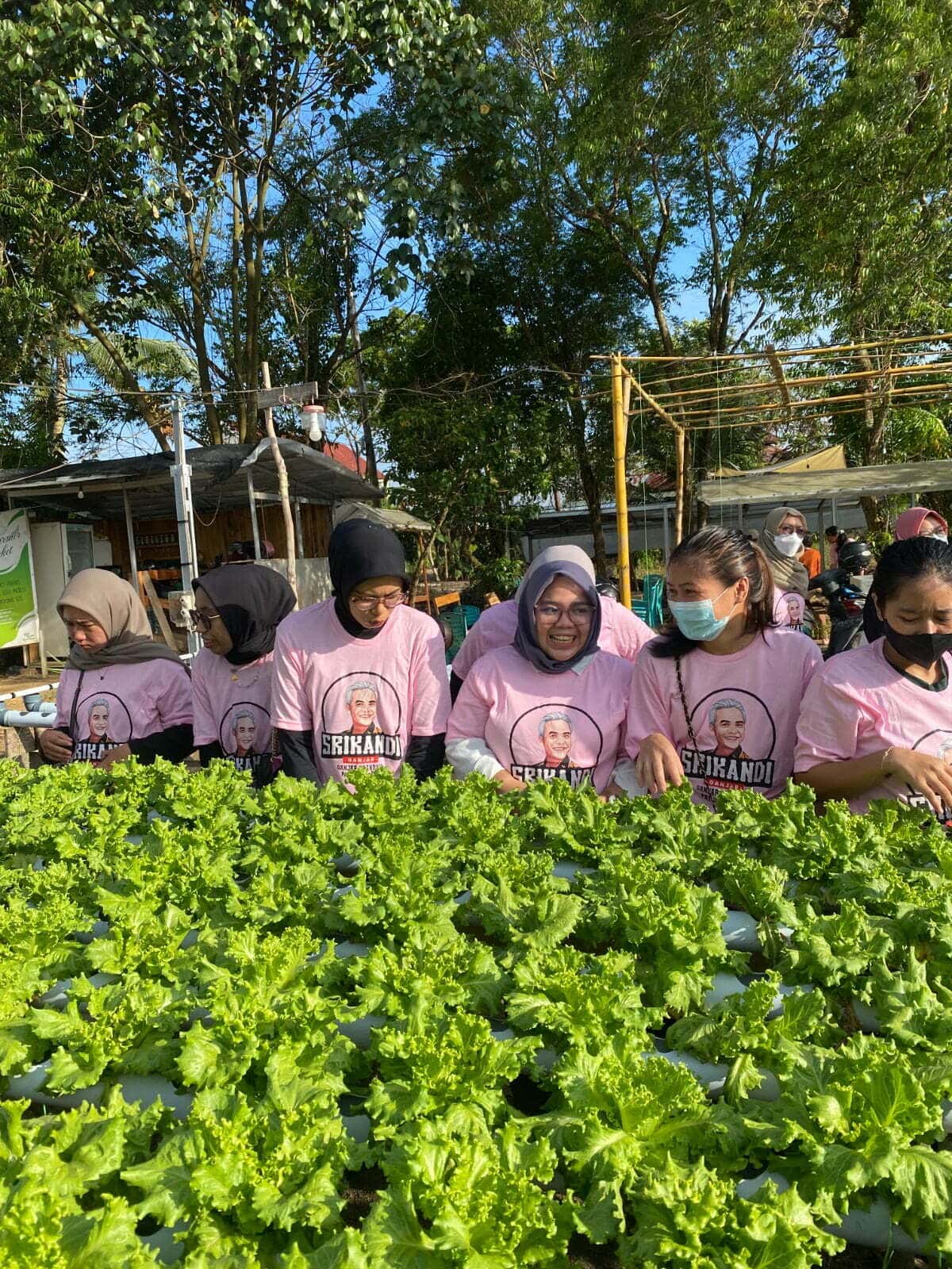 Hijaukan Bumi, Srikandi Ganjar Kalbar Gelar Pelatihan Budidaya Hidroponik