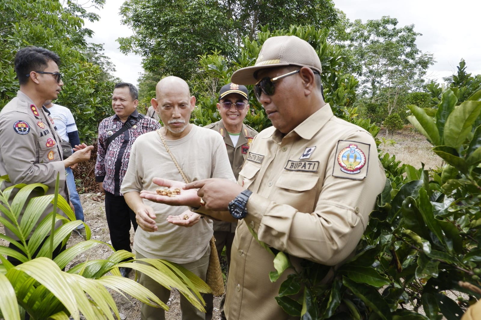 Penuhi Permintaan Pasar Kopi Liberika, Pemkab Kayong Utara Siap Kembangkan Lahan Pertanian Masyarakat