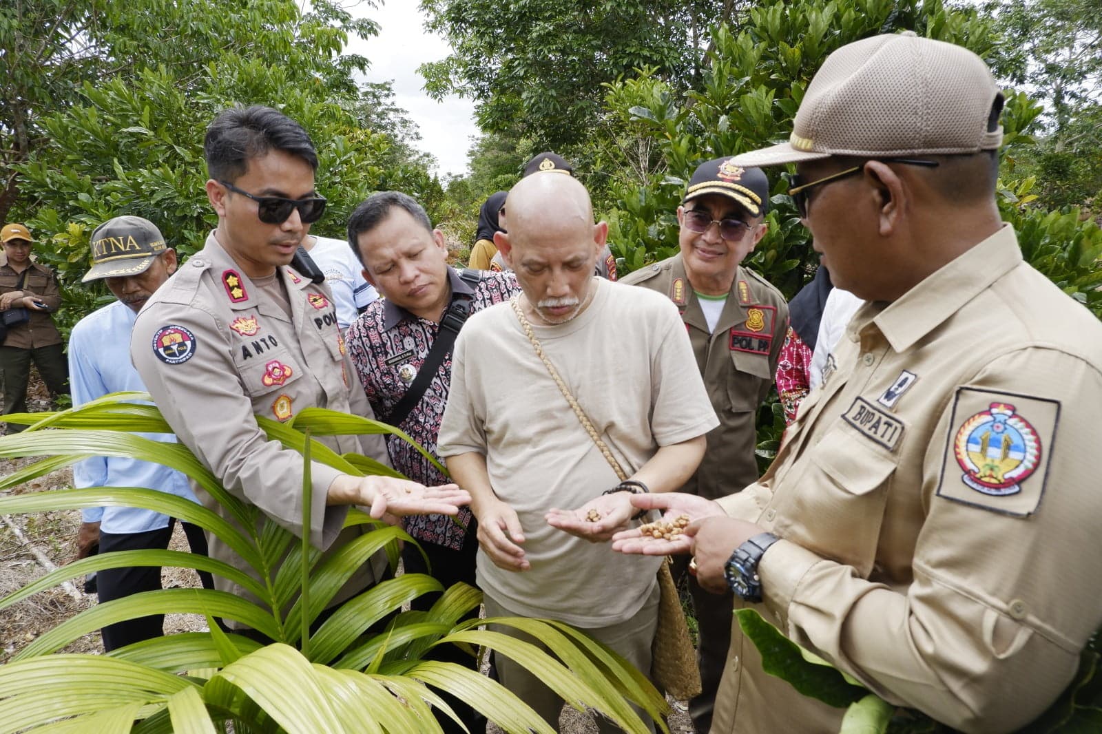 Kemenlu dan Dubes RI Kunjungi Kayong Utara, Kembangkan Potensi Kopi Liberika di Pasar Dunia