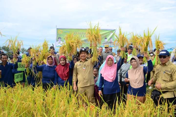 Sekda Ketapang Hadiri Panen Raya dan Serahkan Bantuan Alat Pertanian 