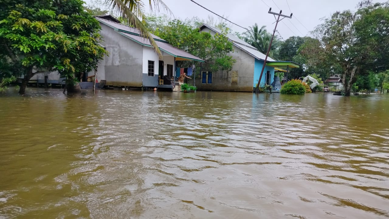 Hujan Deras, Desa Sempurna Sungai Laur Ketapang Terendam Banjir