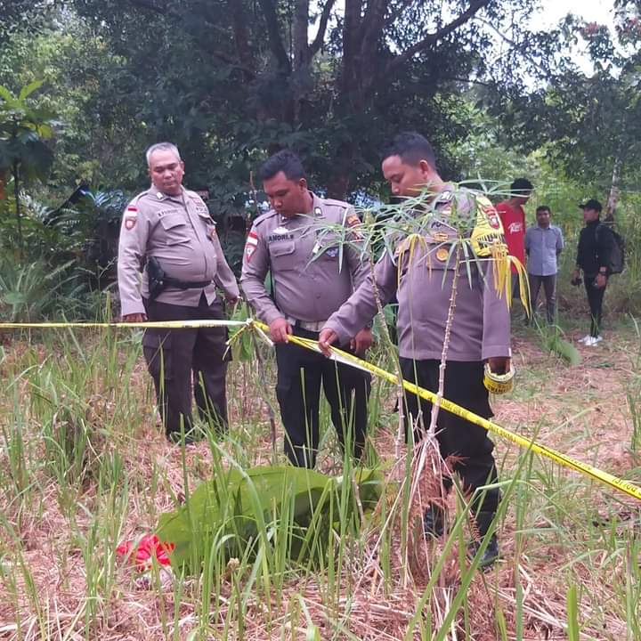 Ngeri, Potongan Mayat Bayi Digondol Anjing di Pekarangan Rumah Warga Putussibau