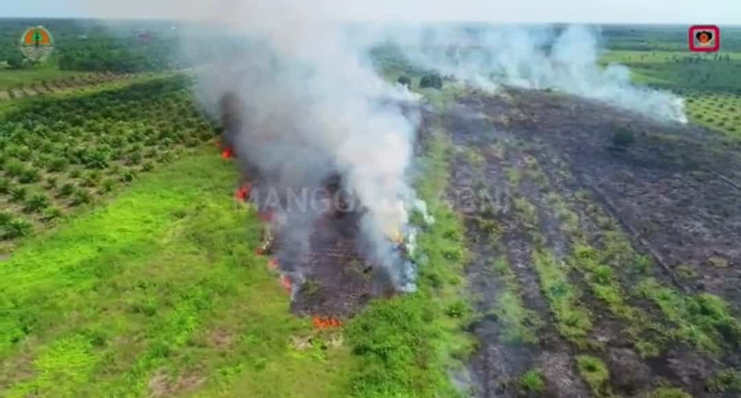 17,22 Hektare Lahan di Kecamatan MHS Ketapang Ludes Terbakar