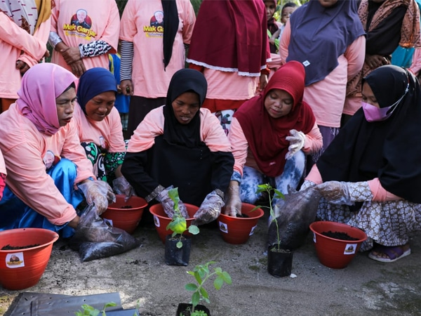 Mak Ganjar Kalbar Ajak Para Ibu Budidayakan Tomat: Sulap Pekarangan Rumah jadi Kebun Minimalis