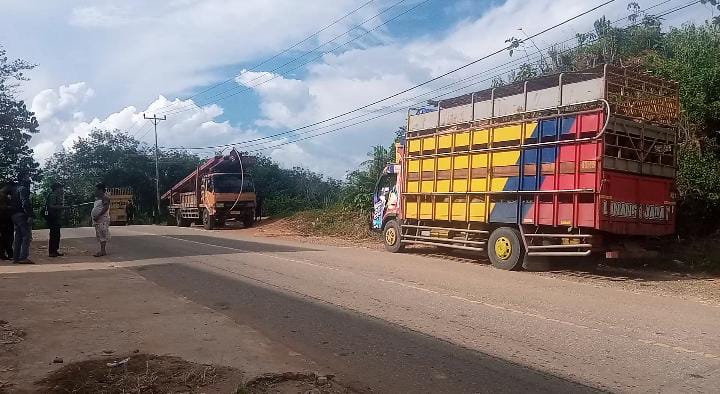 Warga Resah Truk Pengangkut Babi Potong Sebarkan Bau Busuk dan Rembesan Air 