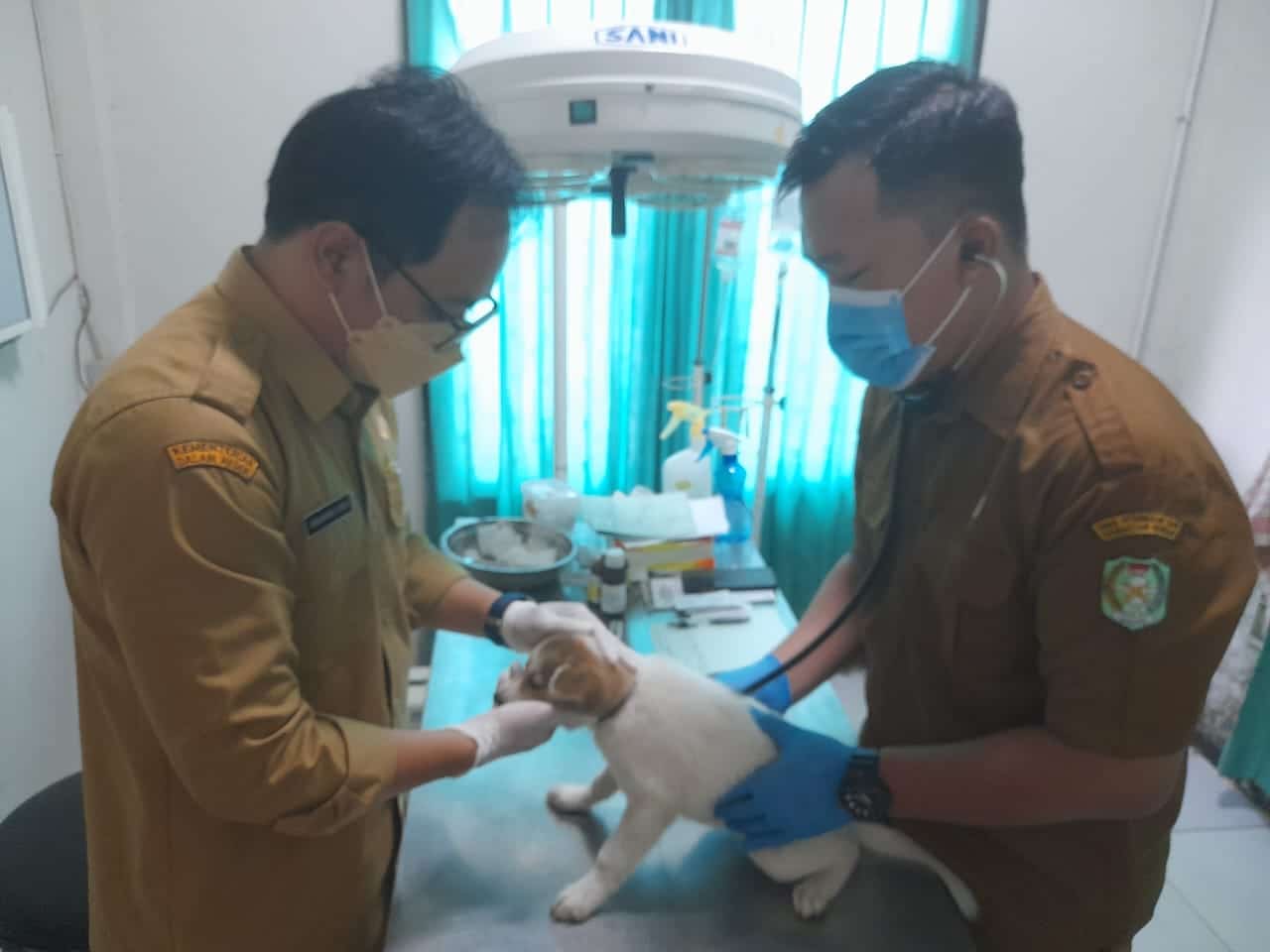 Kasus Meninggal Akibat Rabies Bertambah, Sutarmidji: Tidak Boleh Ada Binatang Berkeliaran di Keramaian